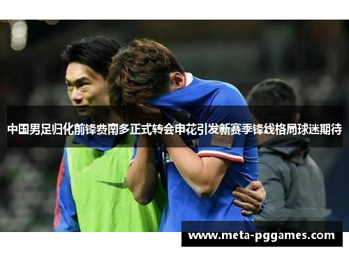中国男足归化前锋费南多正式转会申花引发新赛季锋线格局球迷期待