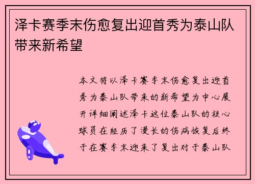 泽卡赛季末伤愈复出迎首秀为泰山队带来新希望 泽卡赛季末伤愈复出迎首秀为泰山队带来新希望